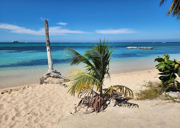 Blue Ocean -a Sky Harbour Oceanfront Twin 4* Montego Bay